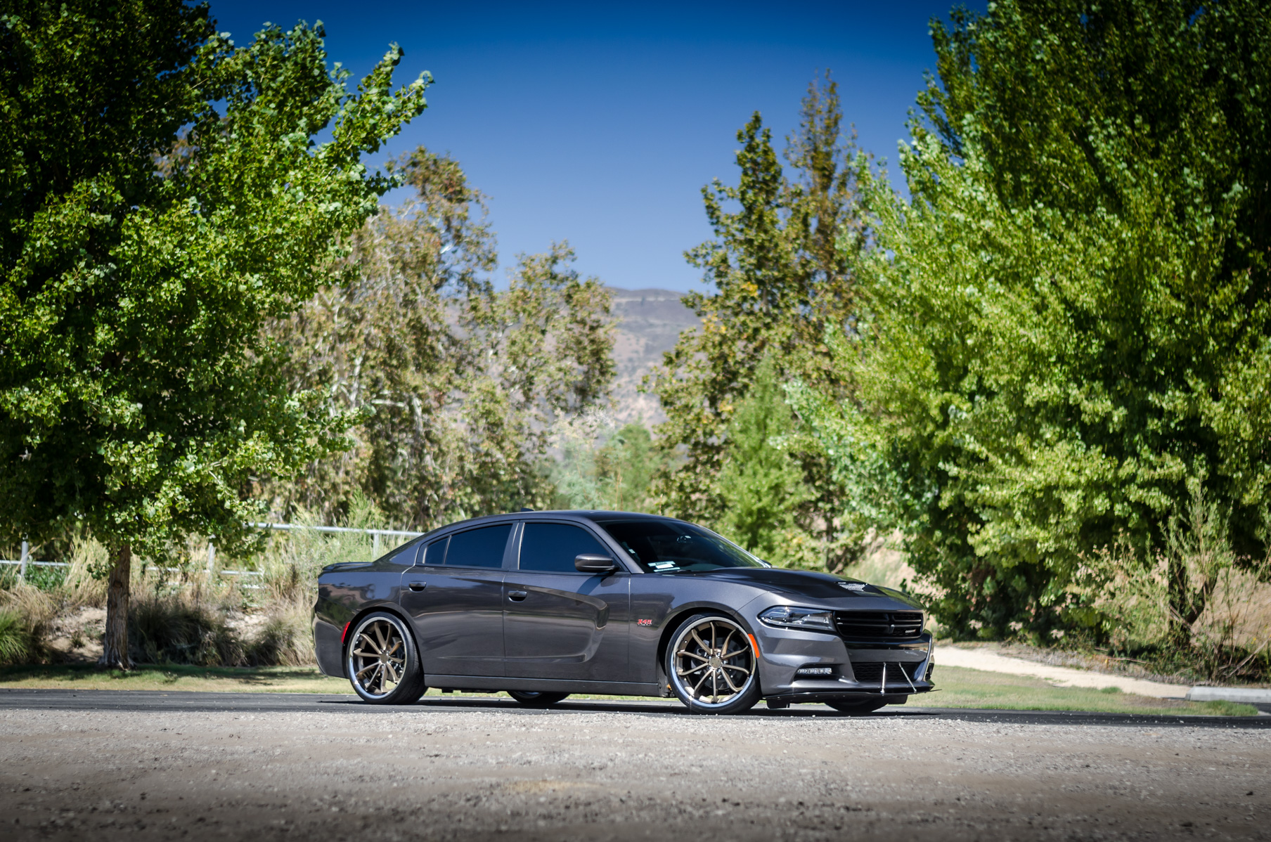 A 2016 Dodge Charger RT on 22 Inch Blaque Diamond BD-23 Bronze with SS Lip Wheels