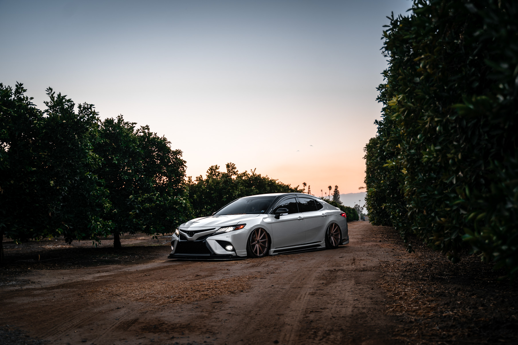 A 2018 Toyota Camry XSE on Blaque Diamond BD-11 Rose Gold Wheels