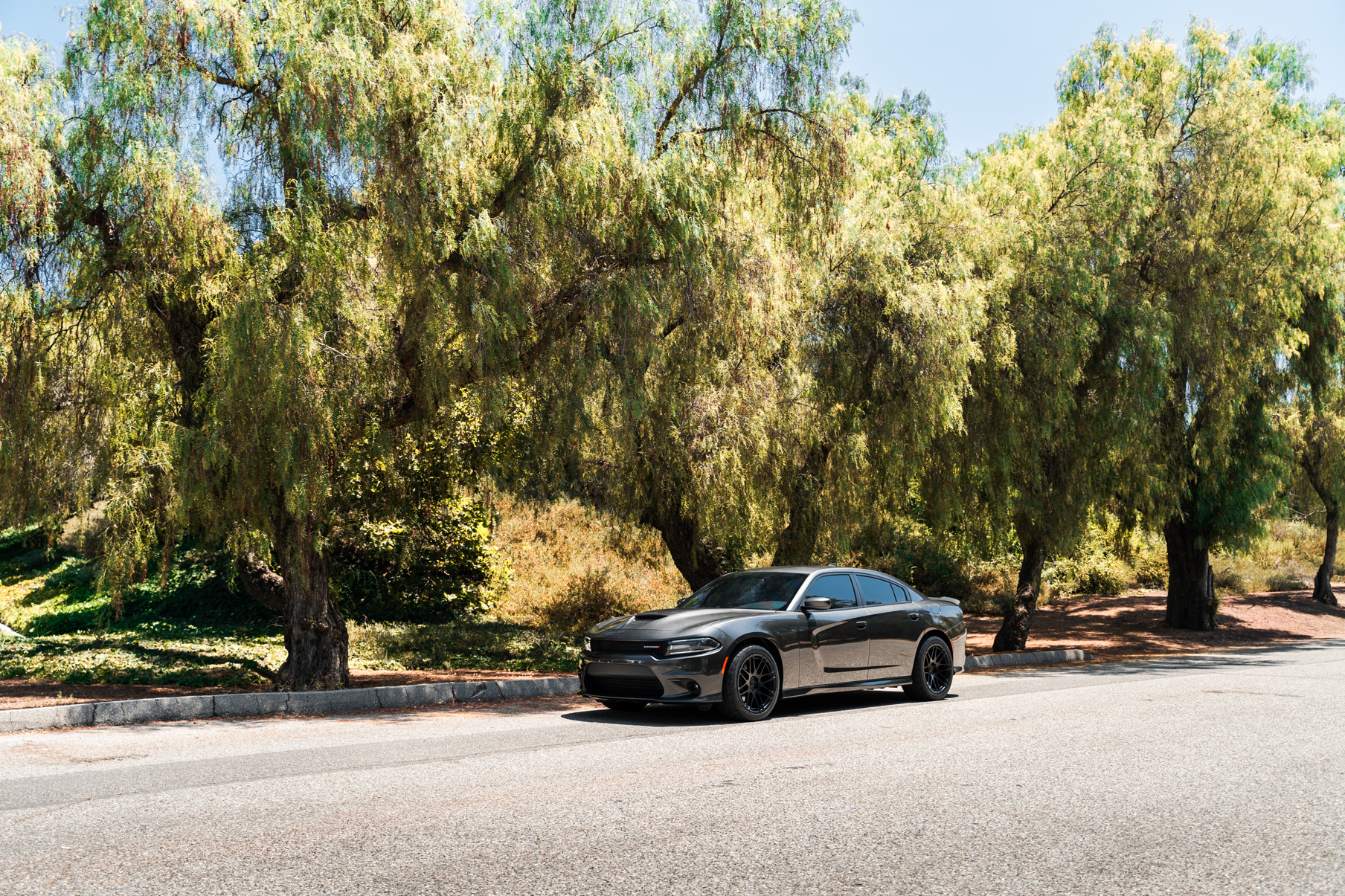 A 2019 Dodge Charger GT on 20 Inch Blaque Diamond BD-F12 Satin Black Wheels
