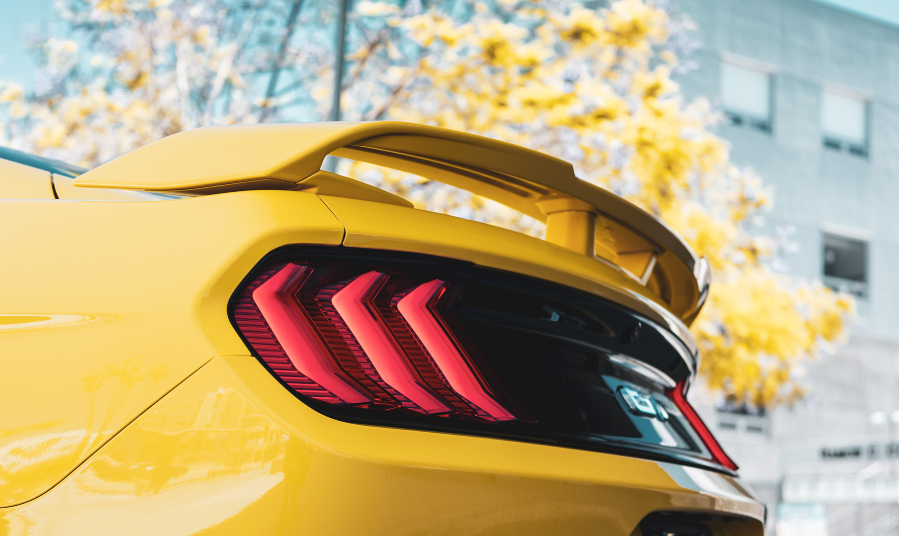 A 2018 Ford Mustang GT on 20 Inch Blaque Diamond BD-F18 Brushed Silver Wheels