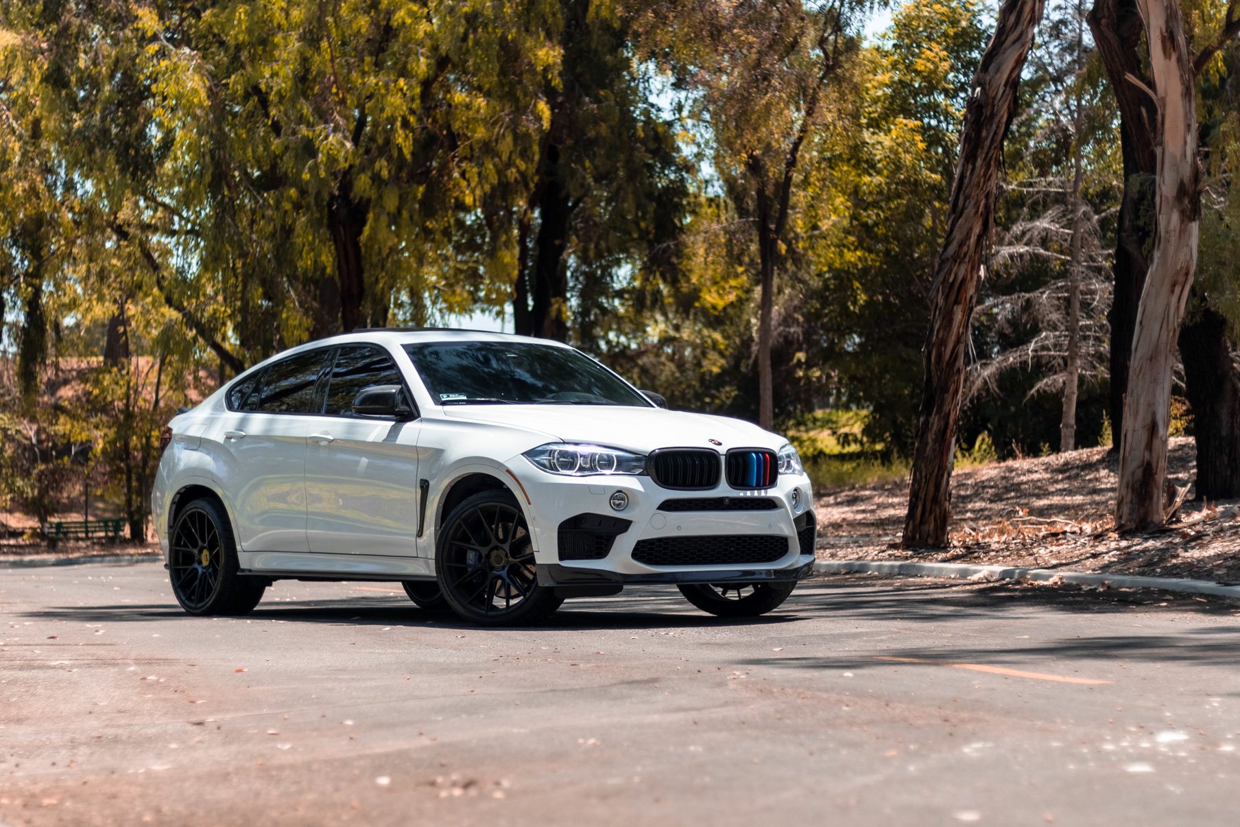 A 2018 BMW X6M on 22 Inch Blaque Diamond BD-F18 Gloss Black Wheels