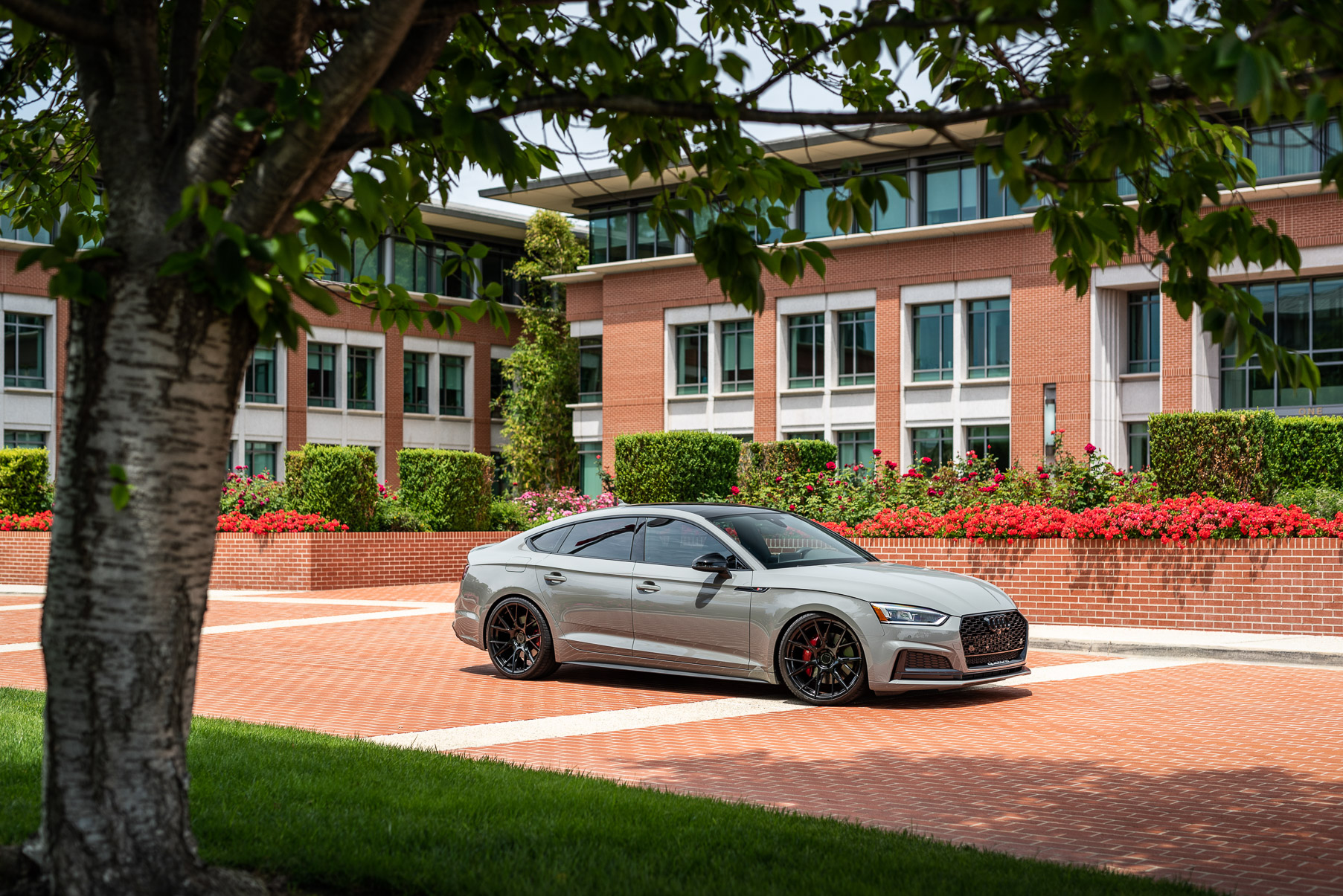 A 2018 Audi S5 Nardo on 20 Inch Blaque Diamond BD-F18 Gloss Black Wheels