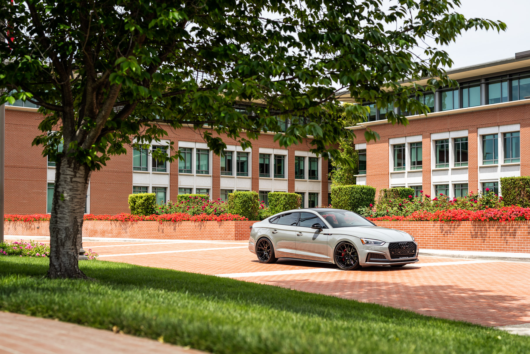 A 2018 Audi S5 Nardo on 20 Inch Blaque Diamond BD-F18 Gloss Black Wheels