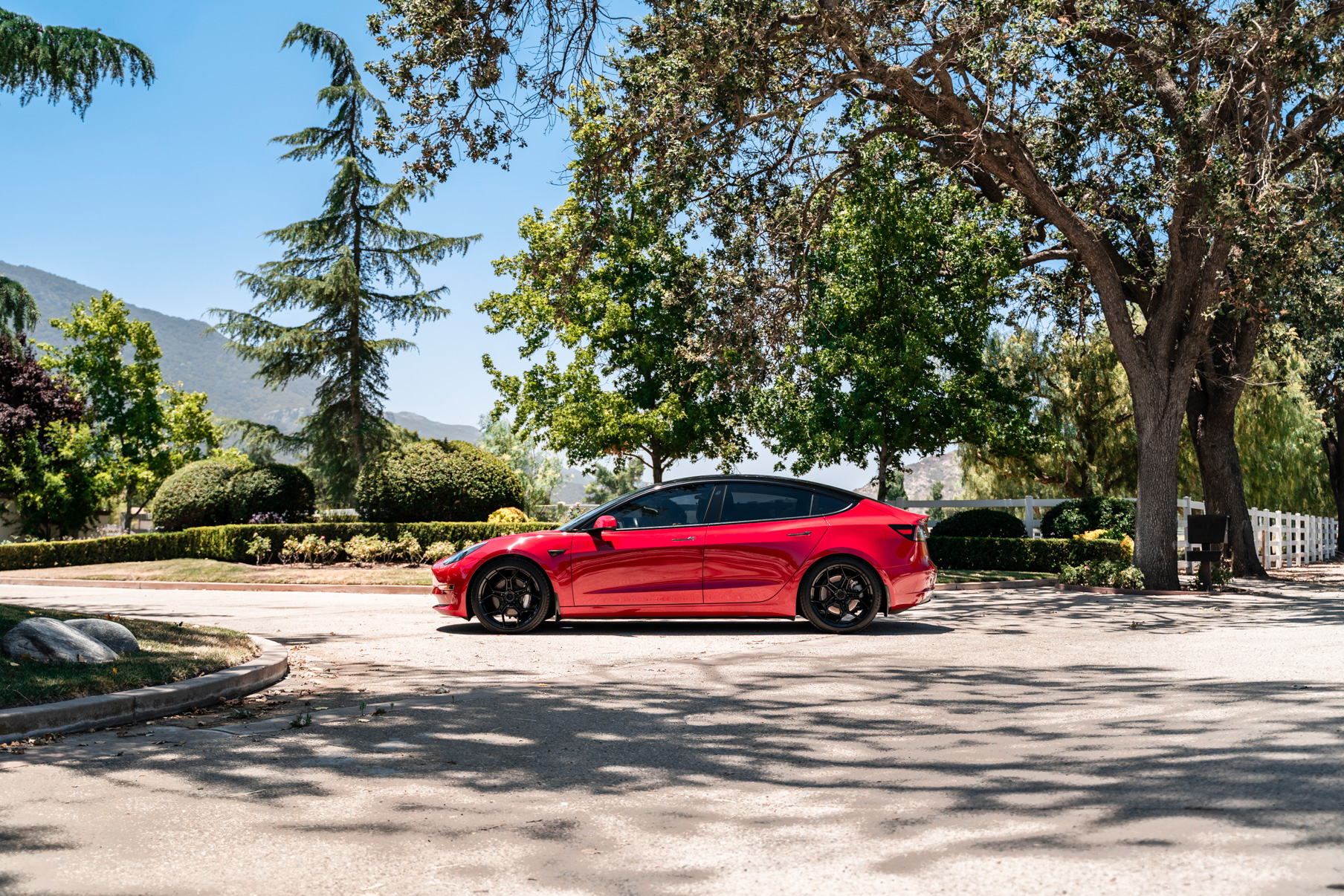 A 2019 Tesla Model 3 on Blaque Diamond BD-F25 Gloss Black Wheels