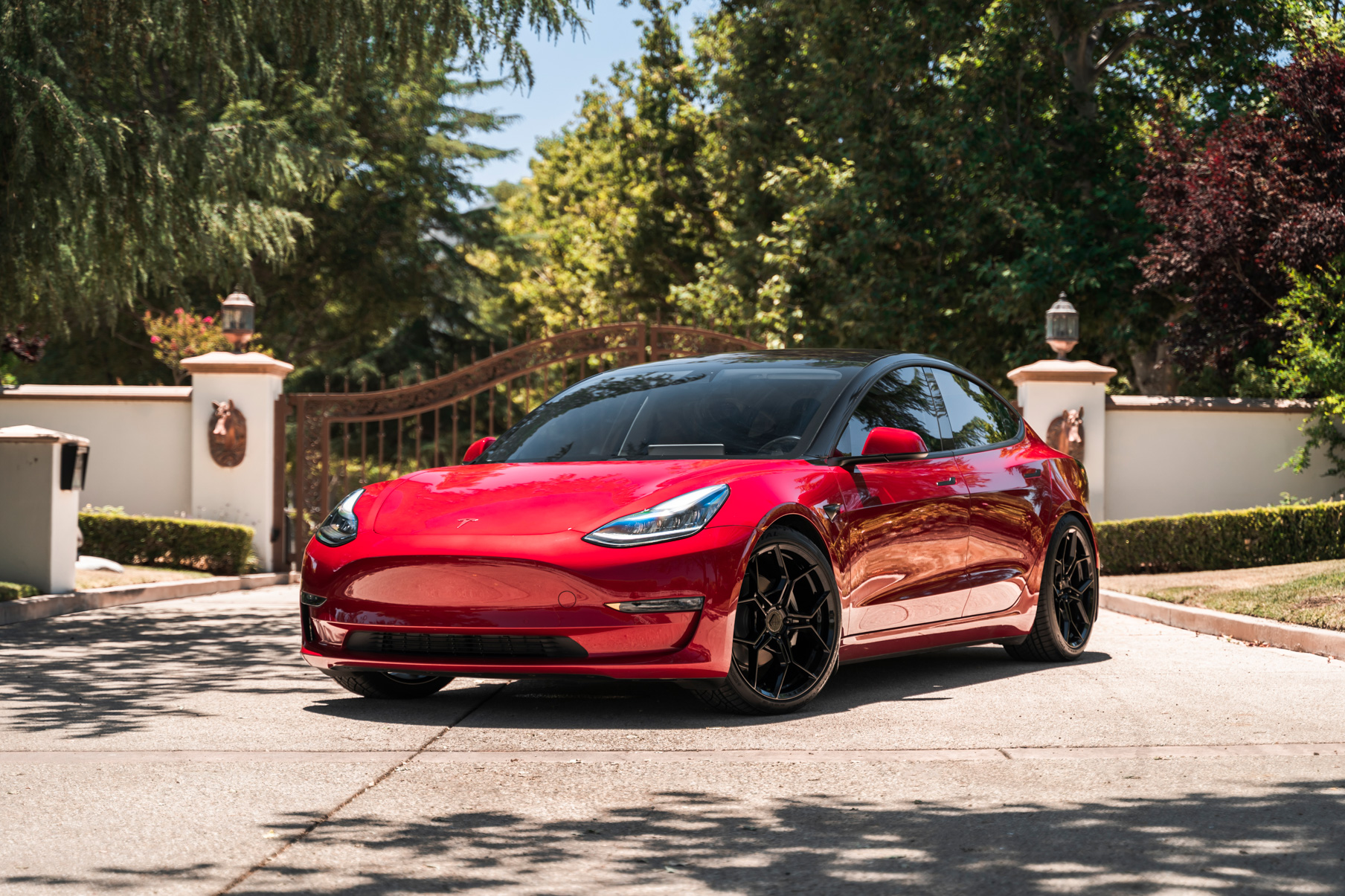 A 2019 Tesla Model 3 on Blaque Diamond BD-F25 Gloss Black Wheels