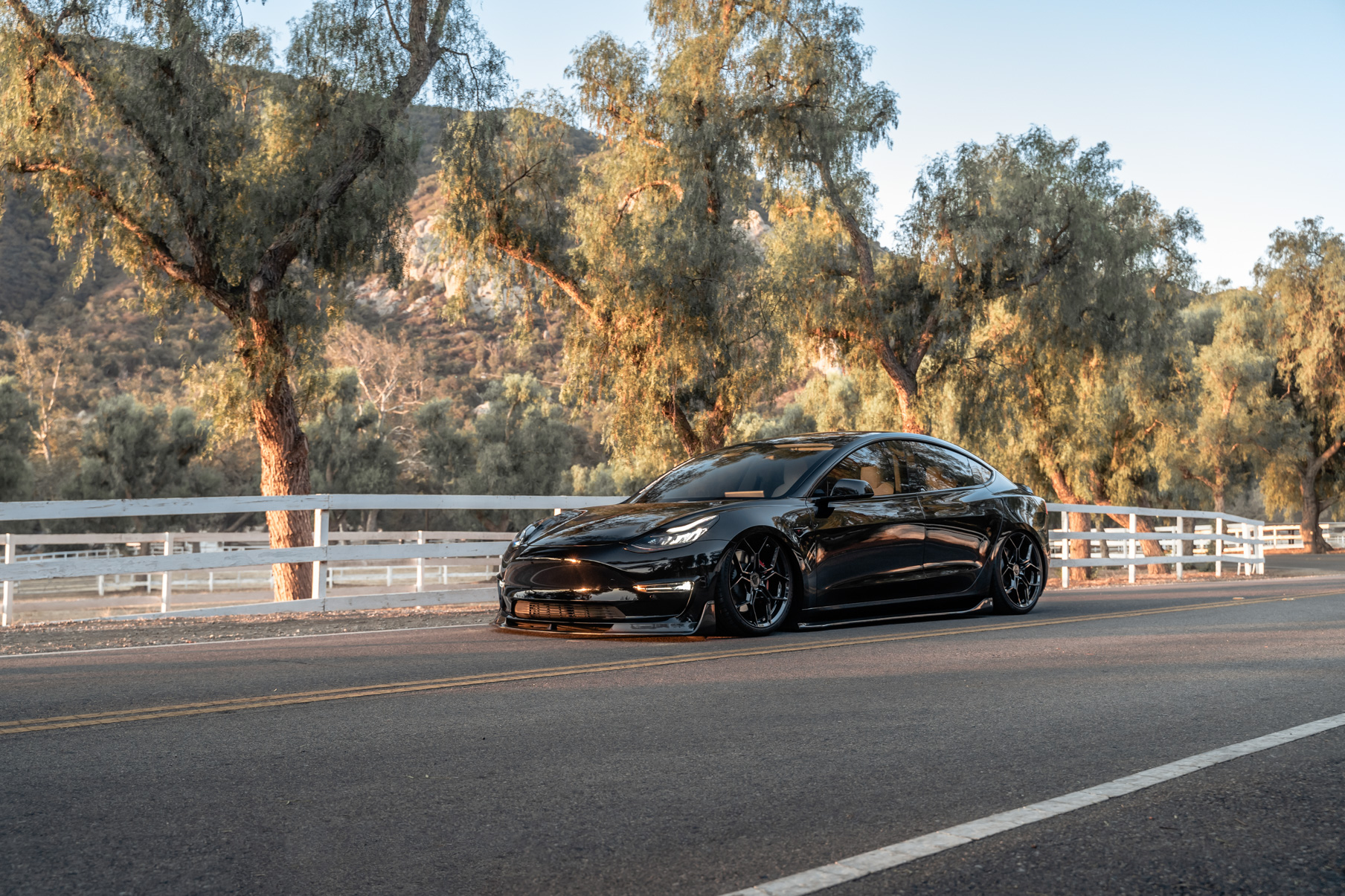 A 2019 Tesla Model 3 Performance on Blaque Diamond BD-F25 Gloss Black Wheels