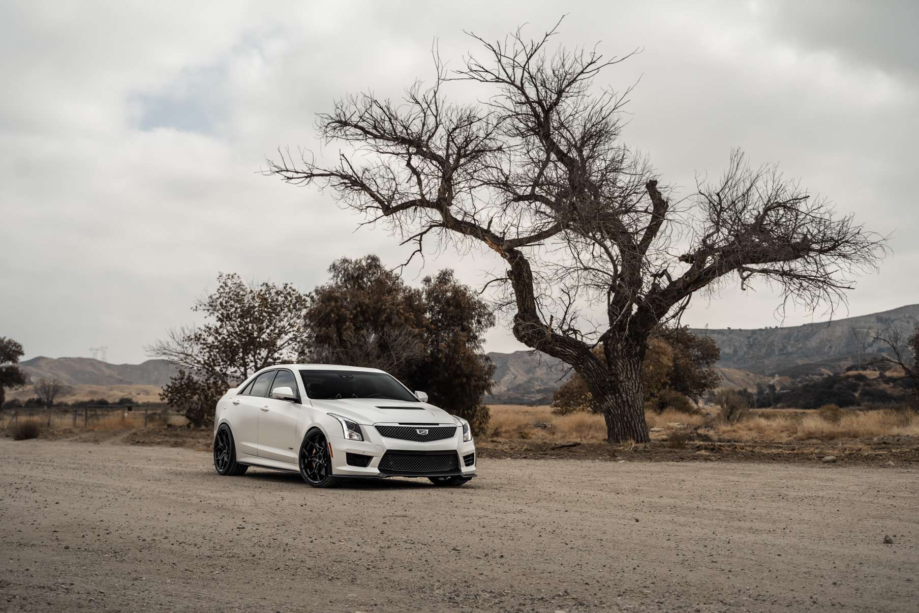 A 2018 Cadillac ATS V Coupe on Blaque Diamond BD-F25 Gloss Black Wheels