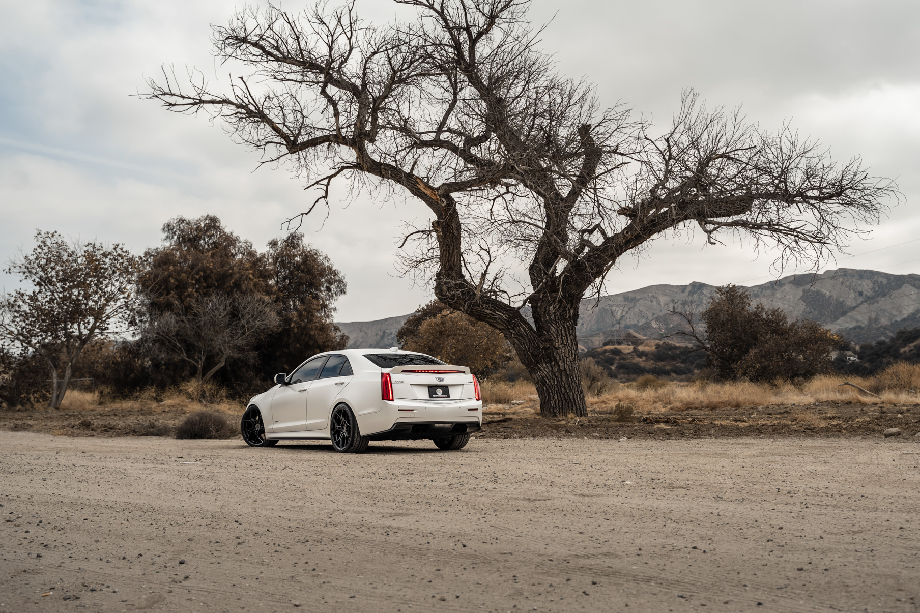 A 2018 Cadillac ATS V Coupe on Blaque Diamond BD-F25 Gloss Black Wheels