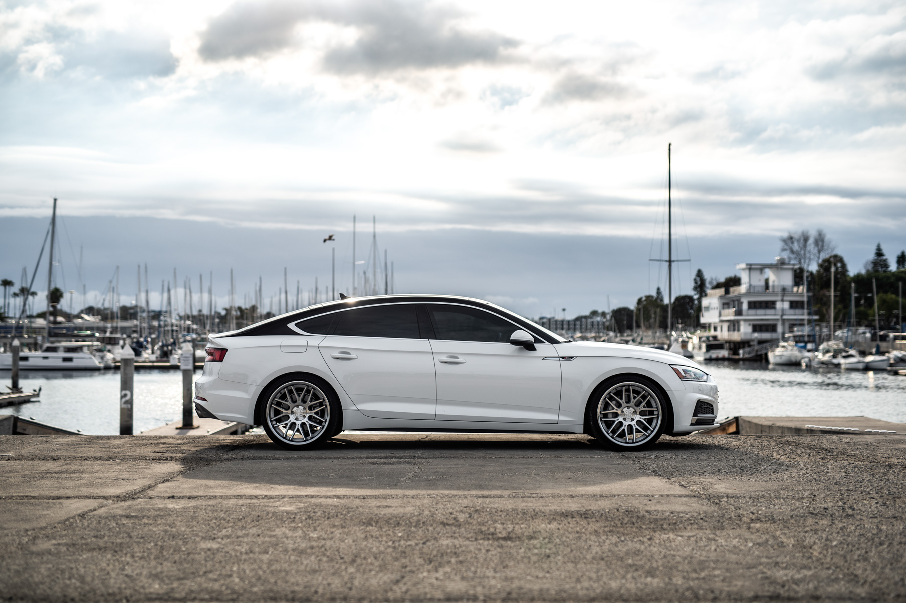 A 2019 Audi S5 on Blaque Diamond BD-27 Brushed Silver Wheels