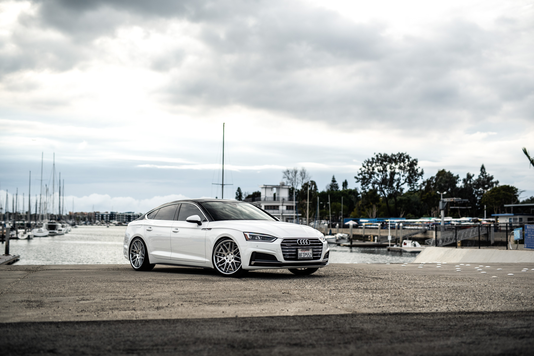 A 2019 Audi S5 on Blaque Diamond BD-27 Brushed Silver Wheels