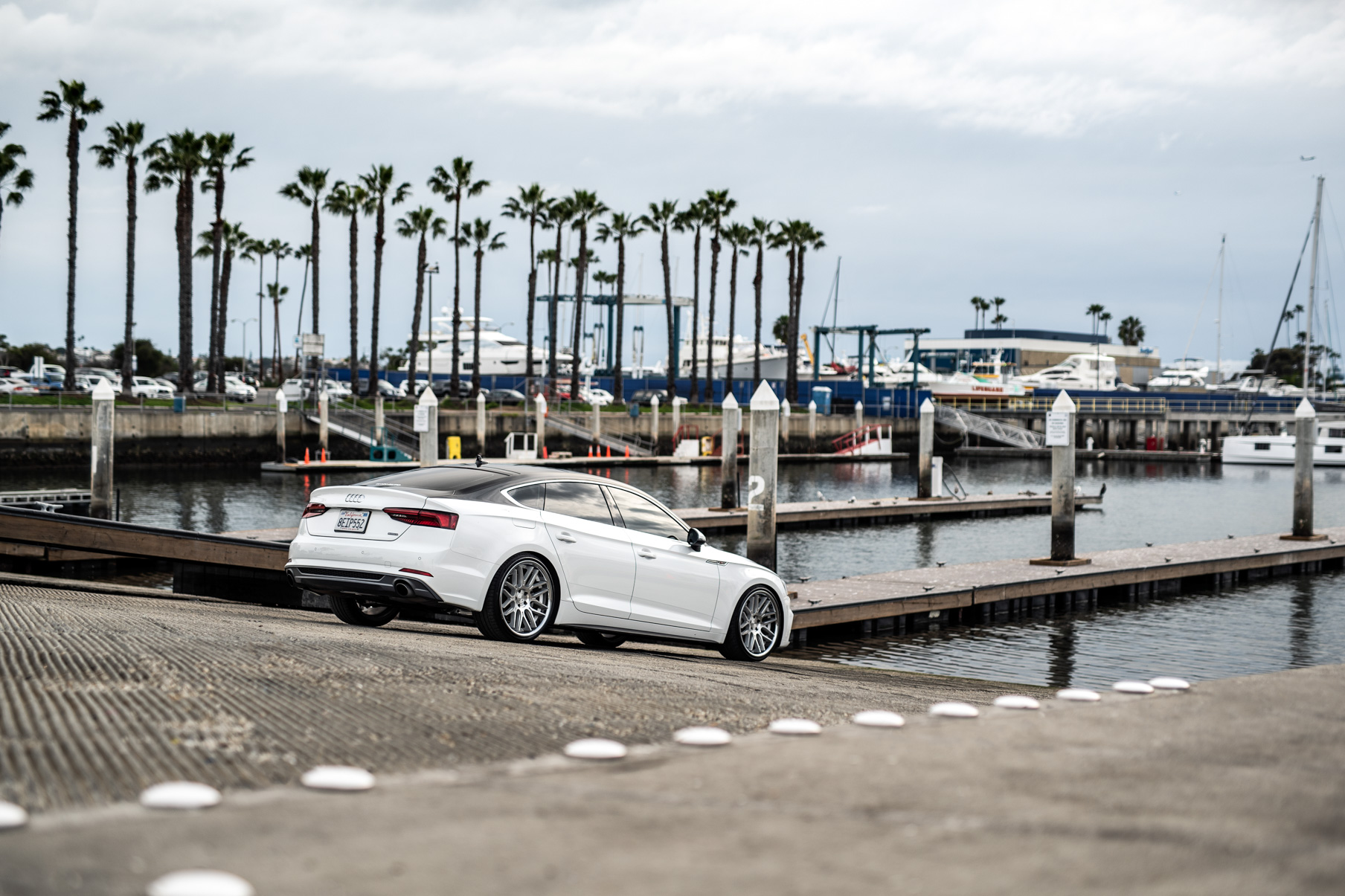 A 2019 Audi S5 on Blaque Diamond BD-27 Brushed Silver Wheels